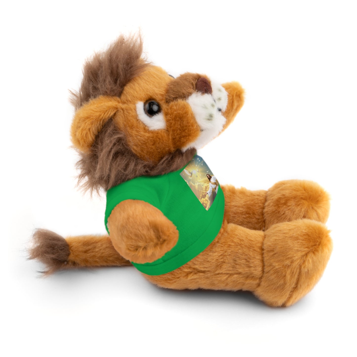 Cute Stuffed Animals with Custom Tee