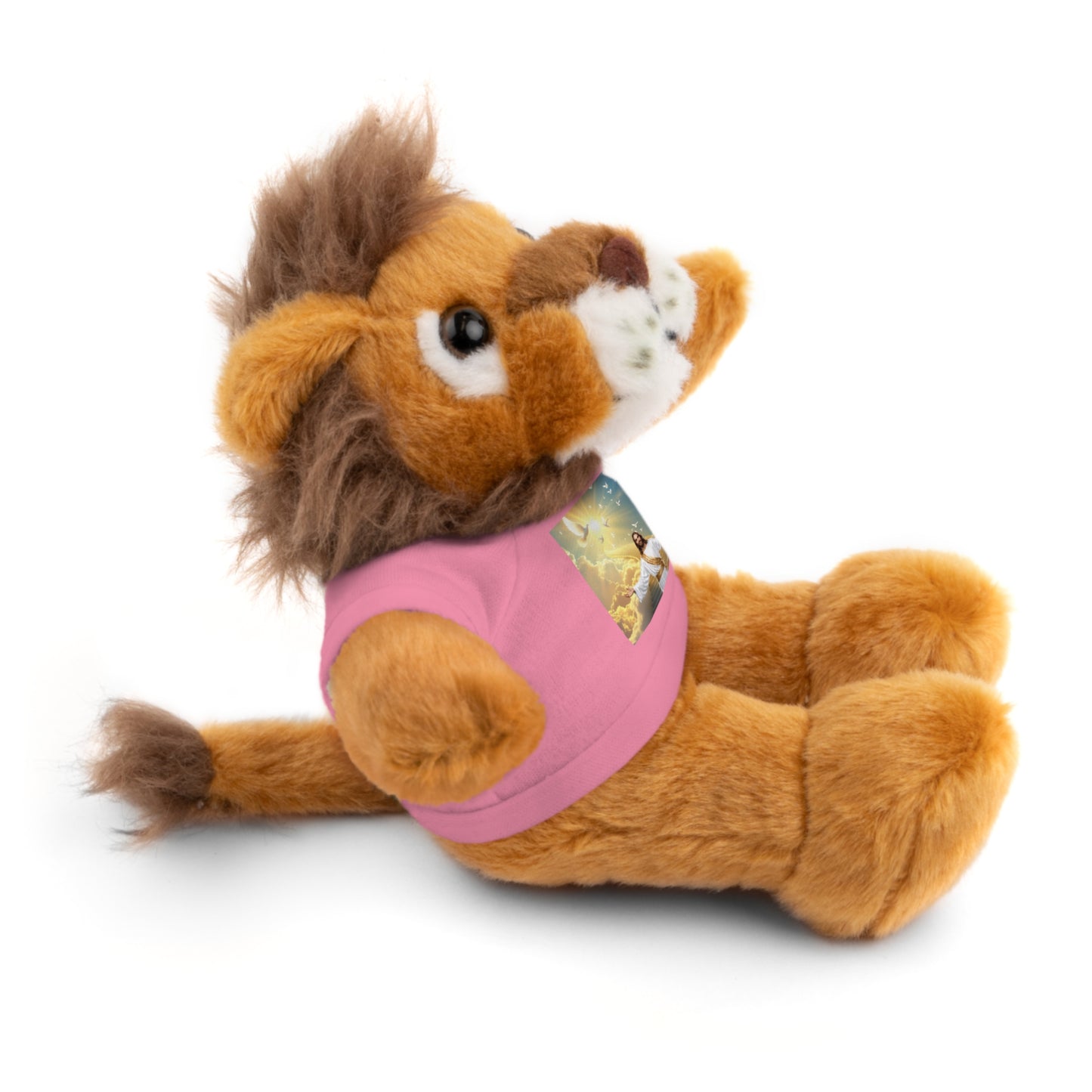 Cute Stuffed Animals with Custom Tee