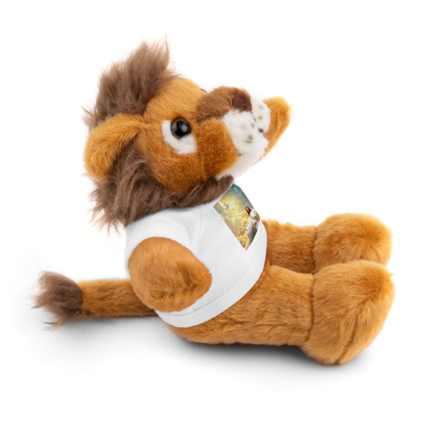 Cute Stuffed Animals with Custom Tee